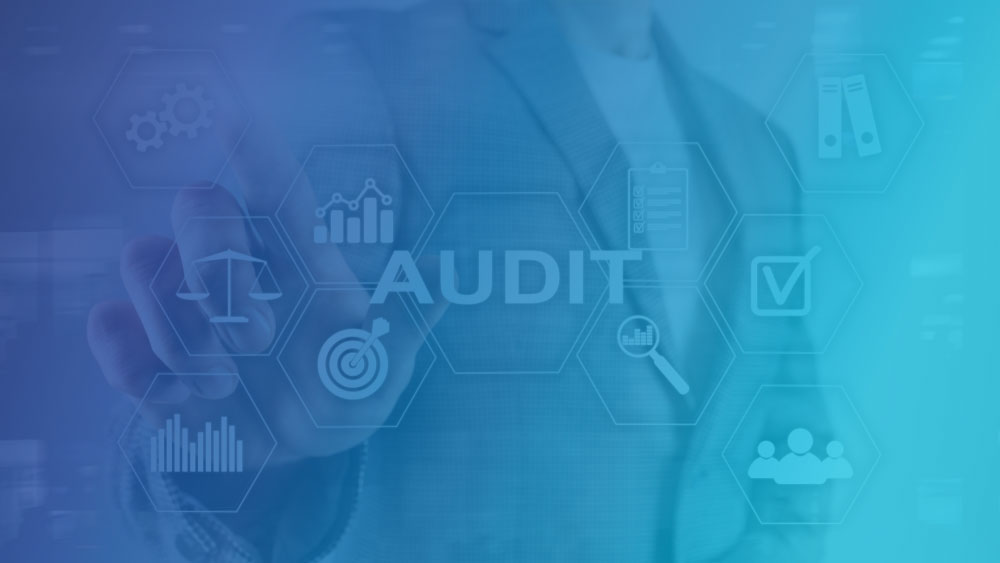 Training Ninja system audits